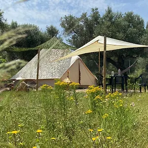  Campo de lujo Bellissima Bell Tent España